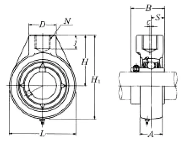 UCHB205D1
