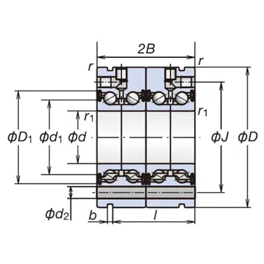 BSF2575-DT