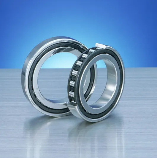 Single-Row Cylindrical Roller Bearings