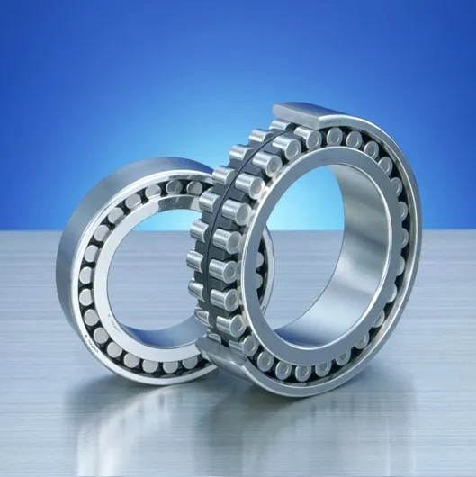 Double-Row Cylindrical Roller Bearings