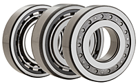 ABMA Series Single Row Cylindrical Roller Bearings