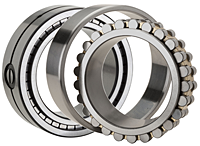 Double Row Cylindrical Roller Bearing